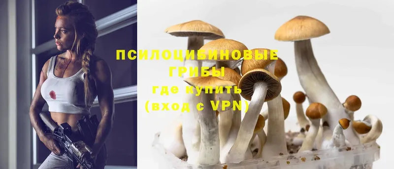 Псилоцибиновые грибы MAGIC MUSHROOMS  Дмитров 